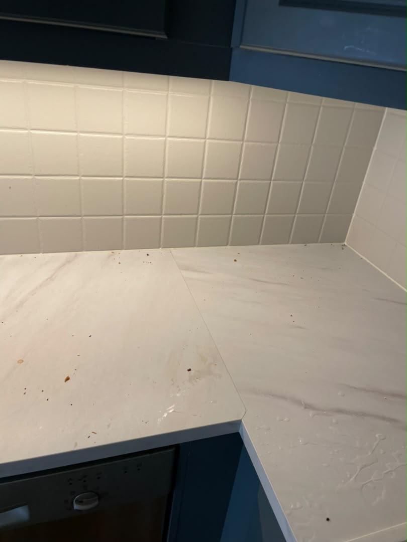 Reliable Cleaning for Homes, Offices and Commercial Properties